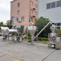 Machine d'emballage de remplissage de poudre de systèmes Vffs entièrement automatique pour la ligne de remplissage de mélange de poudre de lavage de détergent de farine de maïs de ciment