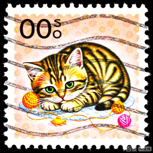 2022 Mountain Flora Wild Flowers Garden Forever Timbres-poste de première classe-Fleurs de jardin - Product Image 4