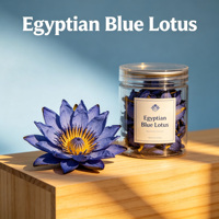 Fleur de lotus bleue fraîche en vrac, herbe naturelle, thé en vrac sous vide pour thé minceur