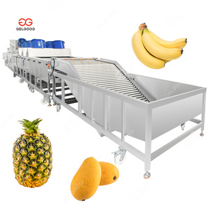 Gelgoog produttori industriali di piccole verdure commerciali e ananas frutta lavatrice per il lavaggio della frutta - Product Image 1