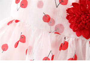 Ropa Formal Elegante para Niños al por Mayor, Ropa Urbana, Vestidos de Niña con Bordados, Material para Juegos, Compras en Línea - Product Image 2