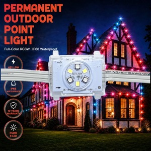 Iluminación Navideña Inteligente para Exteriores de 48V RGBW, Resistente al Agua IP68, Permanente, con Forma de Medusa de 20mm, Fuente de Luz Puntual de 6 LED - Product Image 1