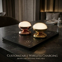 Lampe de table sans fil moderne et portable pour salon, chambre et bureau haut de gamme, éclairage d'ambiance rechargeable, idéale pour restaurant de luxe