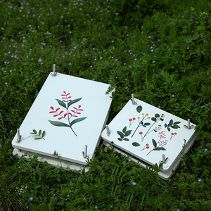 PUSELIFE Décoration d'intérieur DIY, fleurs et <span class=keywords><strong>feuilles</strong></span> d'<span class=keywords><strong>eucalyptus</strong></span> séchées pressées à la main pour la résine - Product Image 3