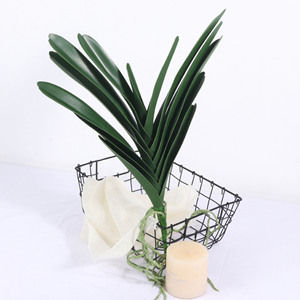 Vente en gros de plantes d'orchidées <span class=keywords><strong>vanda</strong></span> artificielles à longue tige au toucher réel pour la décoration - Product Image 3