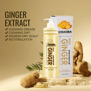 Shampoo anti-chute de cheveux à base de plantes, 100% naturel et biologique, infusé au gingembre, pour femmes et hommes - Product Image 4