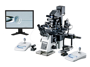 IVFソリューションICSIシステム用のオリンパスIX73倒立顕微鏡、IVF研究所用の倒立研究用顕微鏡 - Product Image 6