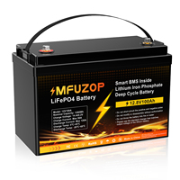 Batterie LiFePo4 12V 100Ah sans taxes, stock UE/US/UK, pack de batteries LiFePo4 avec BMS, batteries lithium-ion LFP pour système solaire domestique