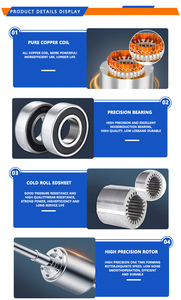 Tùy chỉnh YE3-90L-2 <span class=keywords><strong>2.2kw</strong></span> 3HP 2-cực 3000 vòng/phút 220V/380V/480V 50hp/60hp 3-pha AC cảm ứng không đồng bộ động cơ điện 60Hz ie3 - Product Image 4