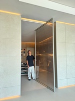 Porte d'entrée pivotante centrale moderne en verre avec cadre en acier inoxydable et aluminium, étanche et à isolation thermique pour usage commercial extérieur