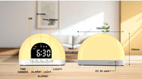 Réveil lumineux pour étudiants Mgitec avec lumières de réveil, affichage de l'heure, fonction SNOOZE, alimentation externe, en plastique