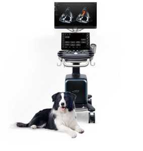 Ecógrafo Doppler Color Veterinario Mindray Vetus 8, Sistema de Ultrasonido con Carro de 23.8 Pulgadas para Clínica Veterinaria - Product Image 1