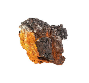 <span class=keywords><strong>100</strong></span>% doğal bitkisel <span class=keywords><strong>Chaga</strong></span> tozu <span class=keywords><strong>Chaga</strong></span> mantar Dropshipping organik <span class=keywords><strong>Chaga</strong></span> mantar özü - Product Image 3