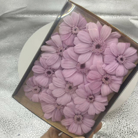 Bunga Aster Meksiko Cosmos Bipinnatus Daisy Rea L4-5cm yang Diawetkan, Alami, Abadi, Kering, untuk Dekorasi Pernikahan, Pesta, dan Rumah
