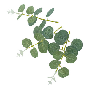Plante Artificielle Eucalyptus Feuille d'Argent, Tige Unique, 5 Branches, pour Arrangements Floraux de Mariage et Décoration Intérieure - Product Image 2