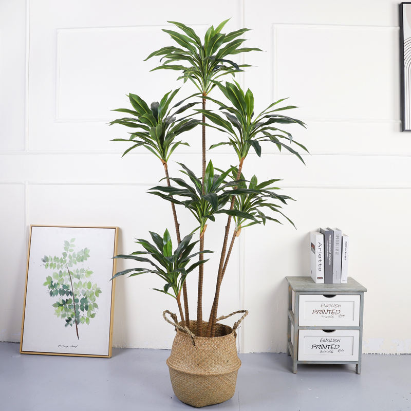 170 ซม., 7 ก้าน