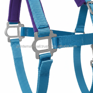 Double Ply Triple Stitched <b>Padded</b> Nylon Horse Halter in Custom Sizes with Satin Finish Brass Adjustable Brass Hardware - Product Image 1