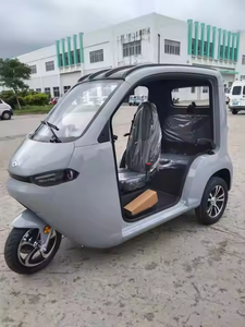 <span class=keywords><strong>Scooter</strong></span> électrique 3 <span class=keywords><strong>roues</strong></span> pour adultes, 2 places, certifié CEE, prix d'usine, carrosserie ouverte, batterie au lithium, voiture de ville - Product Image 5