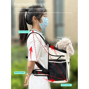 Transporteur pour animaux de compagnie approuvé par la compagnie aérienne extensible souple transporteur pour chiens sac de voyage pour animaux de compagnie sûr et facile pour les chats et les chiens <span class=keywords><strong>prix</strong></span> de gros - Product Image 3