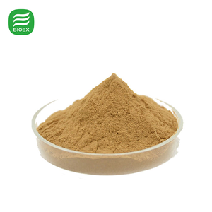 Polvo de Hongo Ostra BioLex Puro y Natural, Ingredientes de Grado Alimenticio para Suplementos, Polvo de Hongo Orgánico - Product Image 4