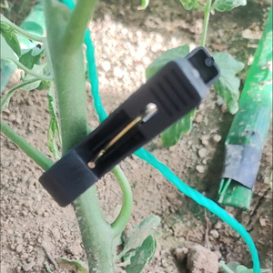 Clips de support pour plantes, clips de treillis pour plantes grimpantes, clips pour semis de légumes, clips pour semis de concombres, pinces de suspension pour semis - Product Image 1