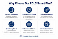 Lámina de Película Inteligente PDLC Autoadhesiva, Innovadora Película PDLC Transparente Esmerilada con Interruptor Inteligente, Película para Ventanas y Persianas