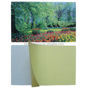 Pegatina Lenticular 3D Impermeable con Diseño Animado Impreso con UV - Product Image 6