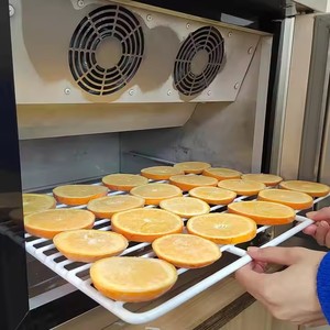 Petit <span class=keywords><strong>congélateur</strong></span> domestique -40 degrés, <span class=keywords><strong>congélateur</strong></span> profond à basse température, réfrigérateur <span class=keywords><strong>horizontal</strong></span> domestique 32L, <span class=keywords><strong>congélateur</strong></span> rapide - Product Image 4