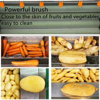 Qiangda Hot Sale Cassave Peeling En Wasmachine Aardappelborstelwasmachine Automatische Aardappelschilmachine