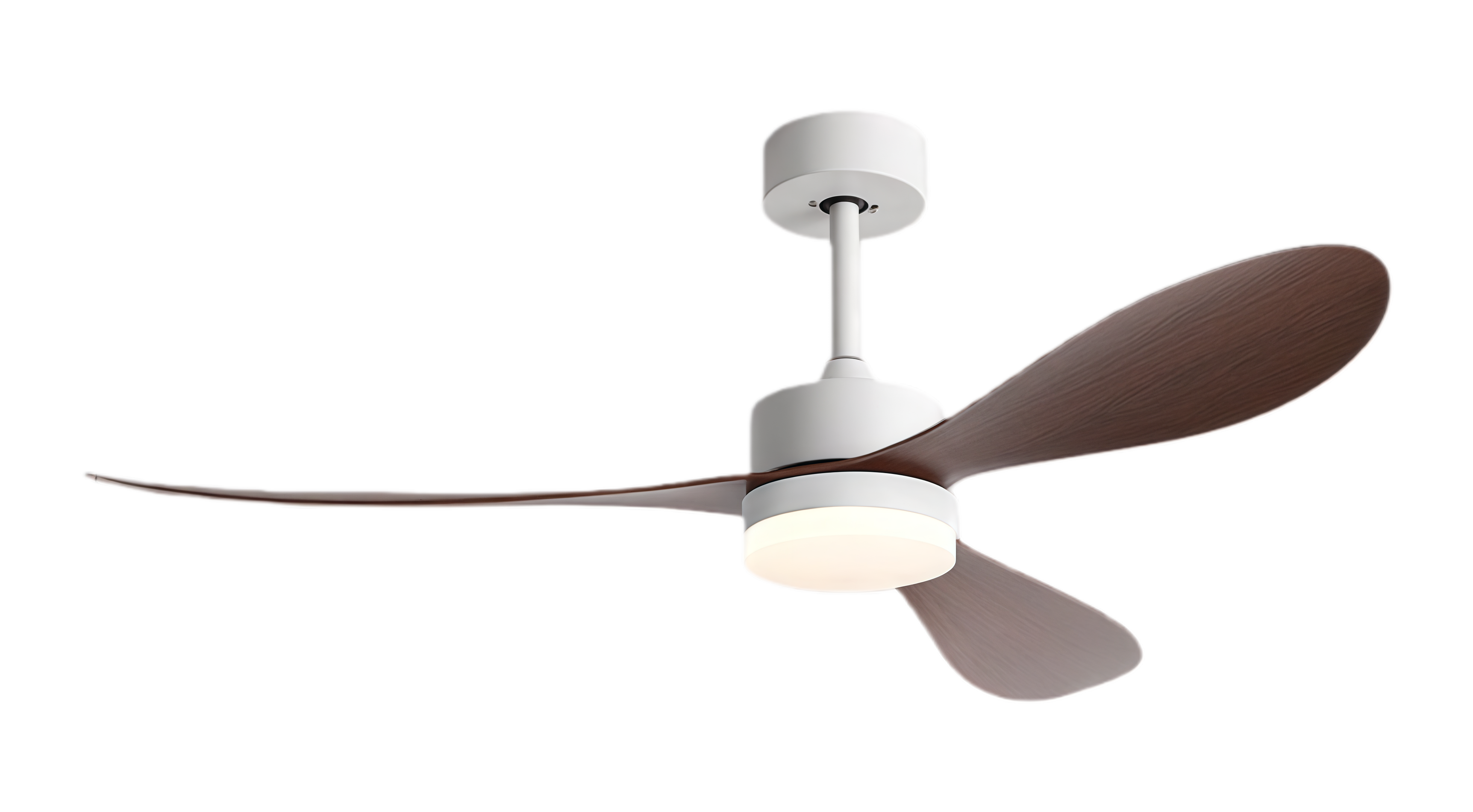 วอลนัทขาว