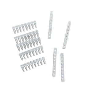 พร้อมหลอดทดสอบ PCR ขนาด 0.2 มล. 8 แพ็ค แบบใส สำหรับใช้ในห้องปฏิบัติการ - Product Image 3