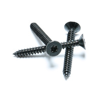 Fabricant chinois, vente en gros de vis en acier noir recouvert de peinture, vis à tête fraisée Torx noire pour applications métalliques et bois.