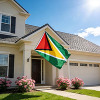 Bandera de Guyana 3x5 pies, poliéster de lujo resistente y duradero, para interior/exterior con rayas cosidas y ojales de latón