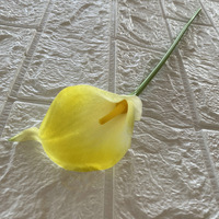 Fleur artificielle Calla Lily en forme de fer à cheval miniature, faite à la main, en PU, pour décoration intérieure, accessoires de photographie, toucher doux, colle souple, Noël