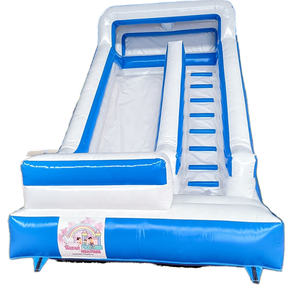 Đủ điều kiện Inflatable trượt trượt trẻ em Inflatable sân chơi trượt lớn trượt nước Inflatable cho sân chơi ngoài trời thiết bị - Product Image 6