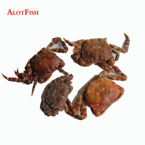 Appât de pêche lyophilisé, appât de pêche au <span class=keywords><strong>crabe</strong></span> de sable, avec prix d'usine - Product Image 4