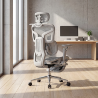 Chaise de bureau ergonomique lombaire dynamique en maille pour les projets de bureaux au Royaume-Uni et la distribution