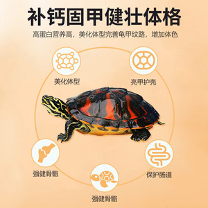 Nai Chong Flame Tortoise Food 1200ml High Protein Shell Protection Floating Pellets For <b>Ornamental</b> Turtles - Product Image 3