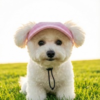 Casquettes de baseball réglables en velours côtelé anti-UV pour chiens et chats, chapeaux pour animaux de compagnie toutes saisons, fabricant en gros, chapeaux anti-UV pour chiens