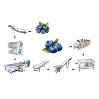 Pemasok Mesin Cuci Blueberry Industri