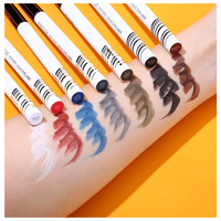 Crayon Eyeliner Minéral Mat Imperméable Longue Durée à Pointe Magnétique en Feutre, Couleurs Variées, Vente Chaude, OEM/ODM, Marque Privée, Échantillon Gratuit