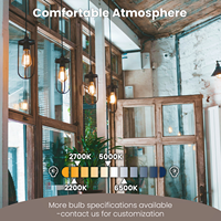 Ampoule LED à filament de verre ST19/ST58 à haut CRI90, dimmable, 8W, base E26/E27, super efficace pour la maison, l'hôtel et le commerce