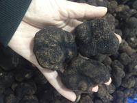 Truffe Noire Sauvage Chinoise Fraîche Naturelle
