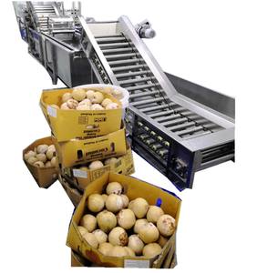 Offre des machines de traitement de l'eau de noix de coco vertes et matures - Product Image 4