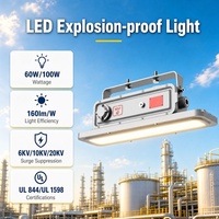 Lampu Strip LED Linear Anti Ledakan 100W IP66 Pemasangan di Langit-langit Ruangan Bersih Area Berbahaya untuk Bengkel Farmasi