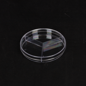 Piastra di <span class=keywords><strong>Petri</strong></span> in Plastica PS Quadrata da 60mm per Coltura di Batteri in Laboratorio - Product Image 6