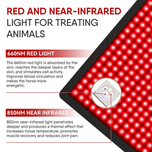 AQSHE Red Light Therapy Equine Horse a infrarossi Cordless Boots a campana con pannello avvolgente per Solarium - Product Image 4