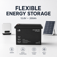 Batterie LiFePO4 LFP CFE-2560 PSE 12,8V 200Ah avec BMS IP65, 3000 cycles, pour onduleur FoxESS, systèmes solaires hors réseau