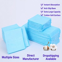 Tapis d'entraînement pour animaux de compagnie, tapis absorbants pour chien, anti-fuites, anti-odeurs, antidérapants, tapis de toilette pour chiot
