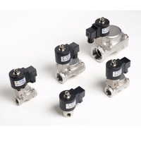 Hochwertiges 2/2-Wege Edelstahl 1/4 Magnetventil 24V Industrieventil-Lieferant